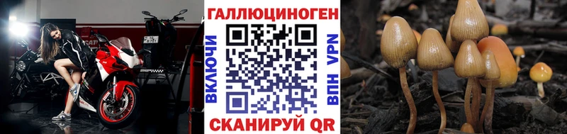 наркошоп  Уяр  Псилоцибиновые грибы прущие грибы 